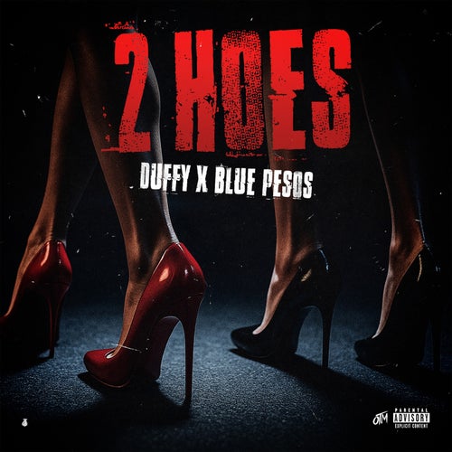 2 Hoes (Ketchy Flow)