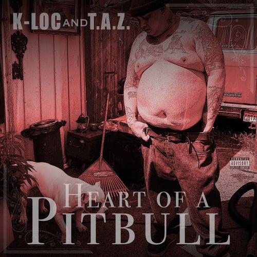 Heart of a pitbull