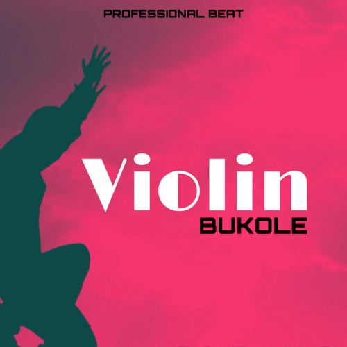 Violin Bukole