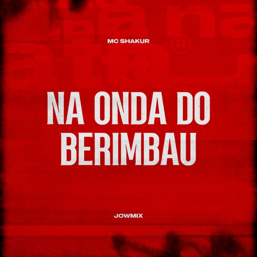Na Onda do Berimbau