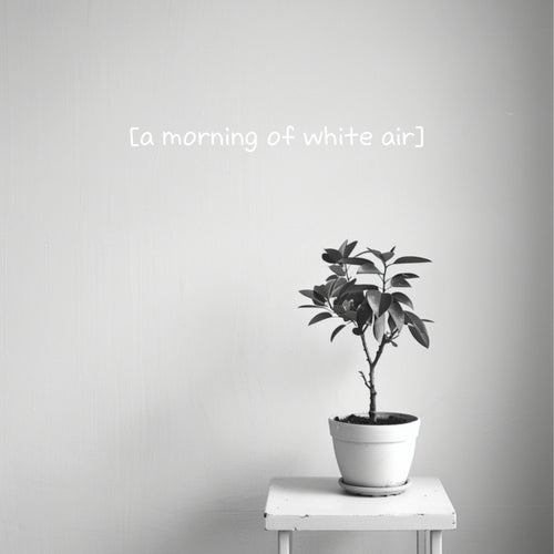 a morning of white air