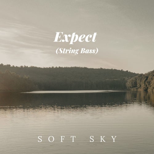 Expect (String Bass)