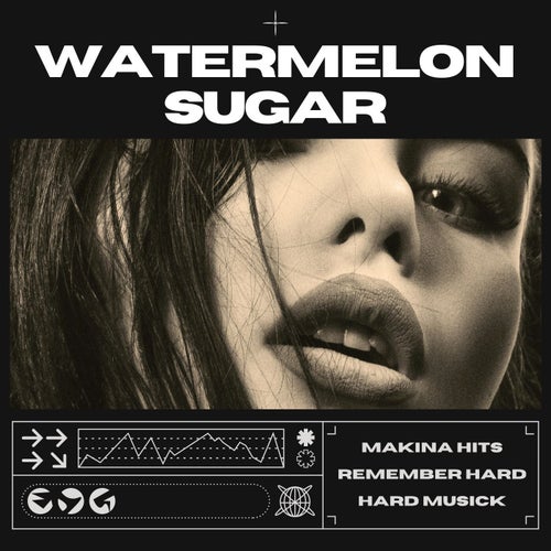 Watermelon Sugar (Hard Dance)