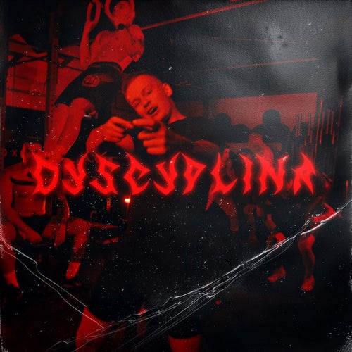 Dyscyplina