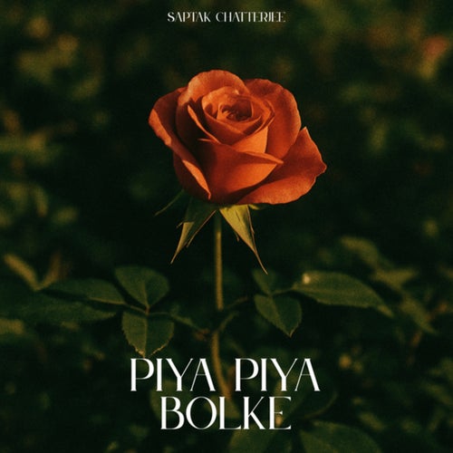 Piya Piya Bolke