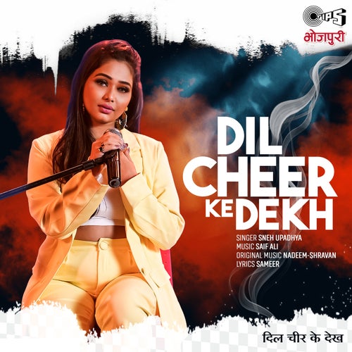 Dil Cheer Ke Dekh