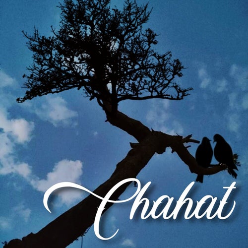 Chahat