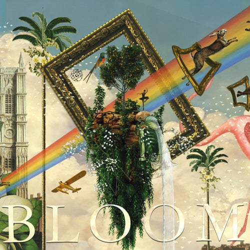 Bloom