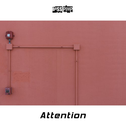 Release of the week
