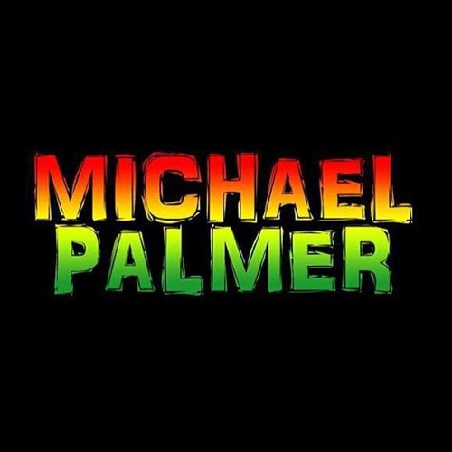 Michael Palmer Profile