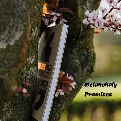 Melancholy Promises