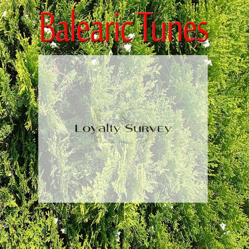 Balearic Tunes