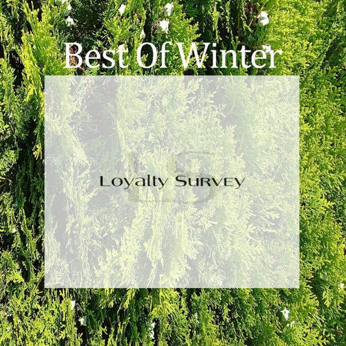 Best Of Winter