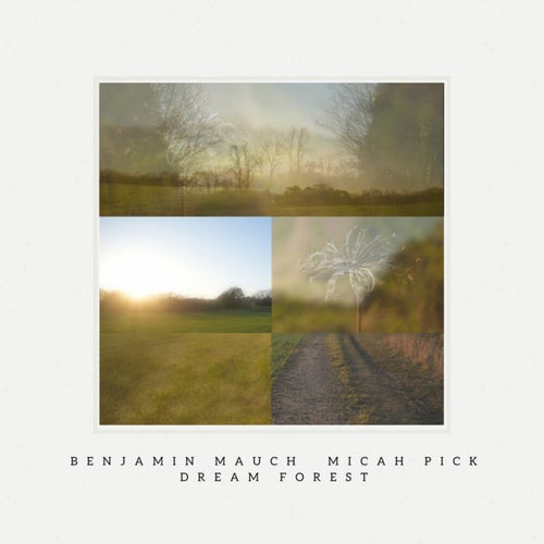 Dream Forest