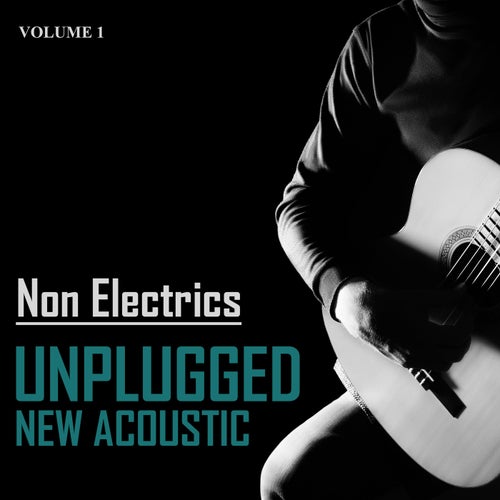 Unplugged New Acoustic, Volume 1