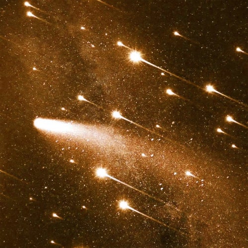 L'UNICA STELLA