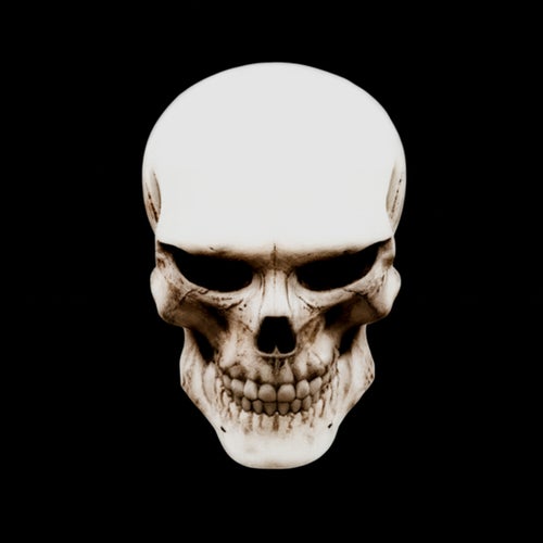BONEMAXXING