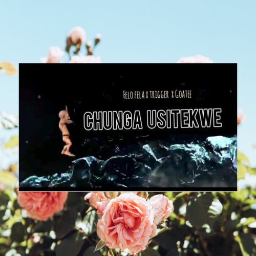 Release of the week