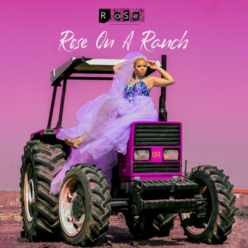 Rose On A Ranch