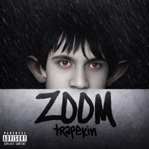ZOOM