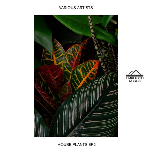 House Plants 2 - EP