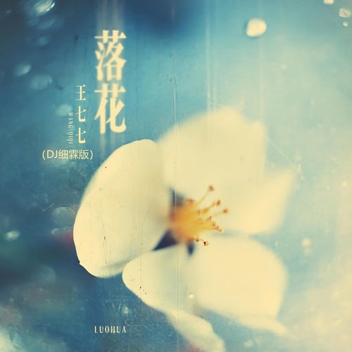 落花 (DJ 細霖版)