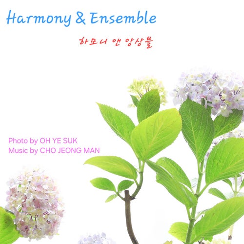 Harmony & Ensemble