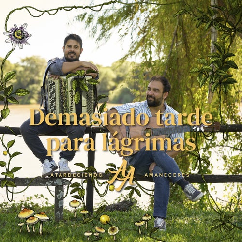 Demasiado tarde para lágrimas