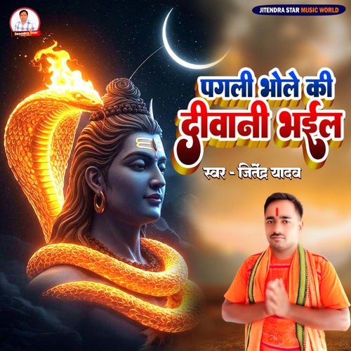 Pagali Bhole Ki Diwani Bhail