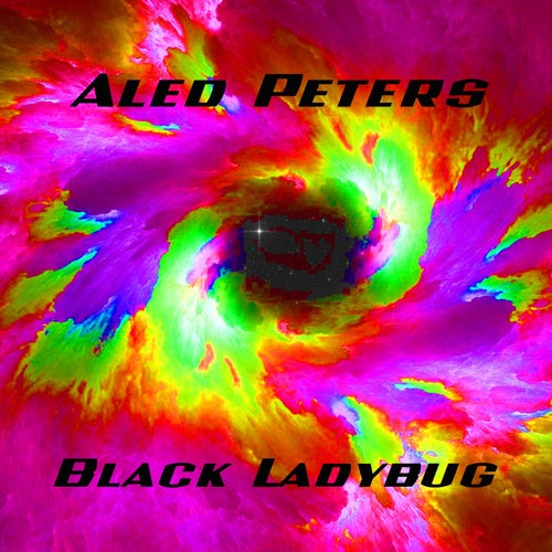 Black Ladybug