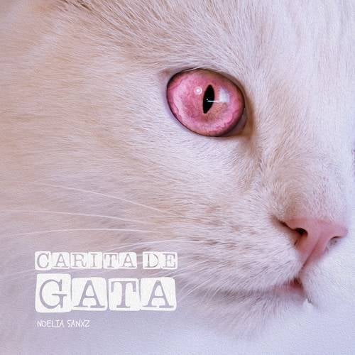 Carita de Gata by Noelia Sanxz on Beatsource