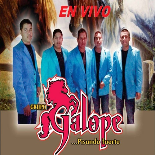 Zapateado Pinotepa - en vivo