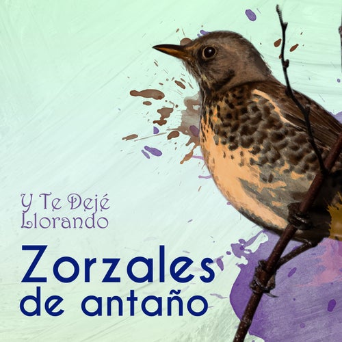 Zorzales de Antaño…Y Te Dejé Llorando