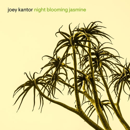 Night Blooming Jasmine by Joey Kantor on Beatsource