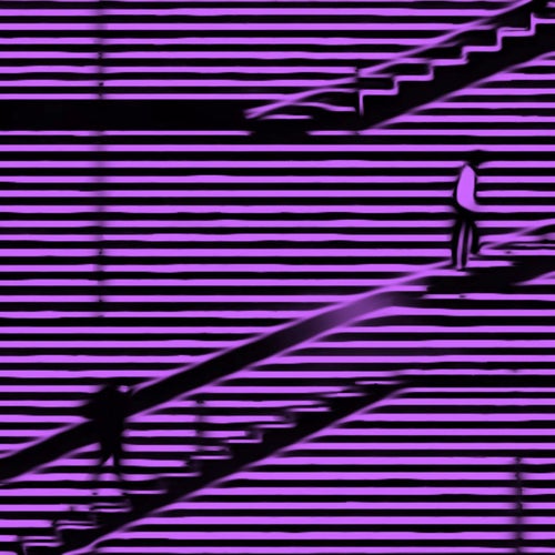 Elevation