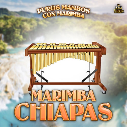 Puros Mambos Con Marimba