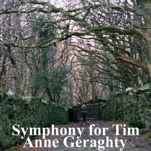 Symphony For Tim