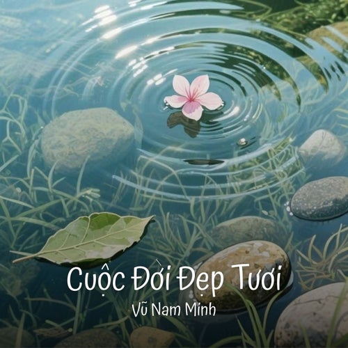 Cuộc Đời Đẹp Tươi
