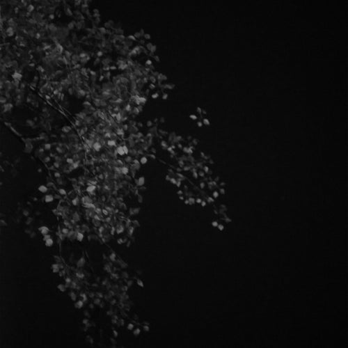 Apathy / Dissonance