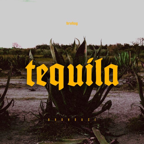 Tequila