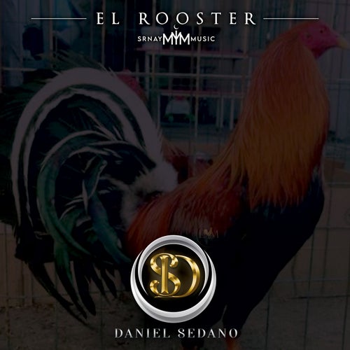 El Rooster