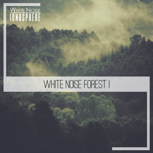 White Noise Forest 1
