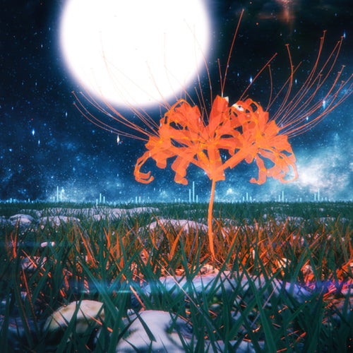 花燈katomoshibi