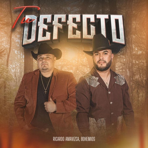 Tu Defecto