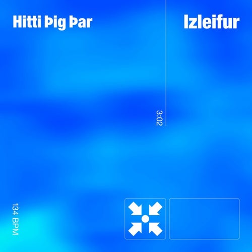 Hitti Þig Þar