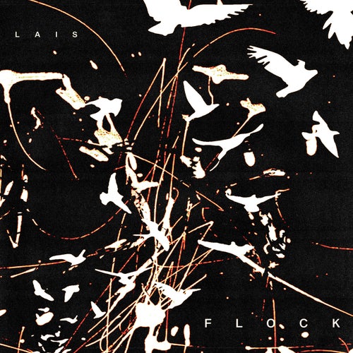Flock