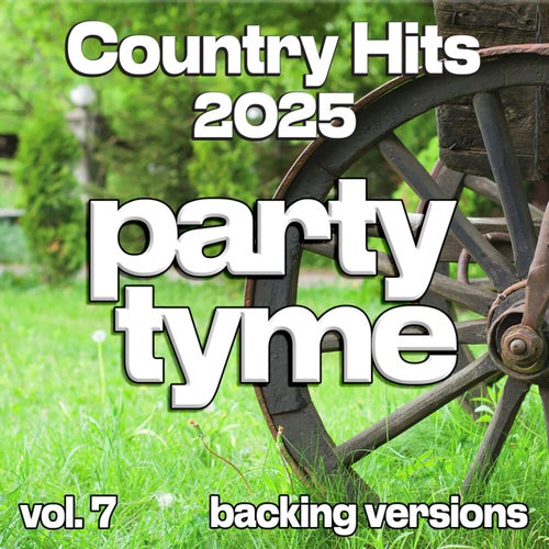 Country Hits 2025, Vol. 7 (Backing)