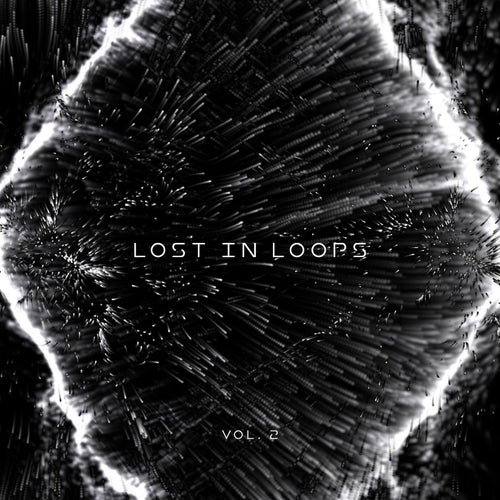 Lost In Loops Vol 2