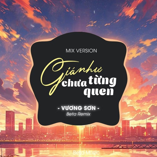 Giá Như Chưa Từng Quen (Remix)