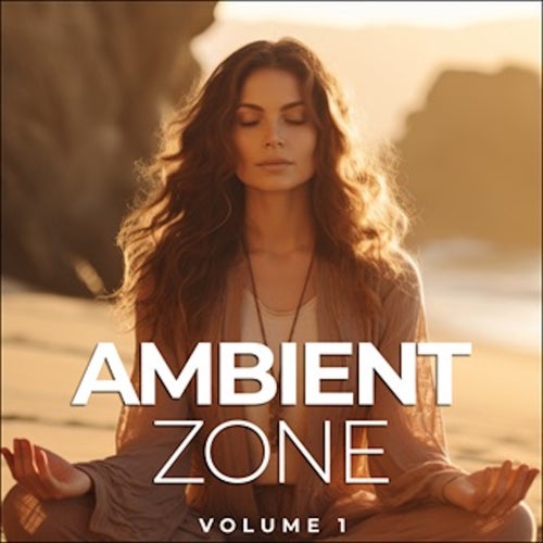 The Ambient Zone Vol. 1